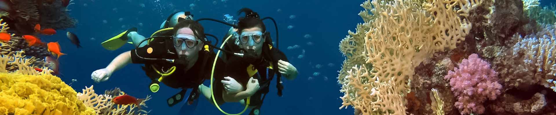 Master Diving Courses